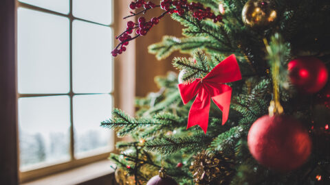Let Us Help With Your Holiday Gift Giving! | Farmington Consulting Group