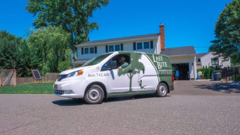 Ticked Off? We are! | Farmington Consulting Group