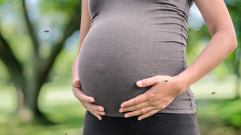 The Zika Virus Disease | Farmington Consulting Group