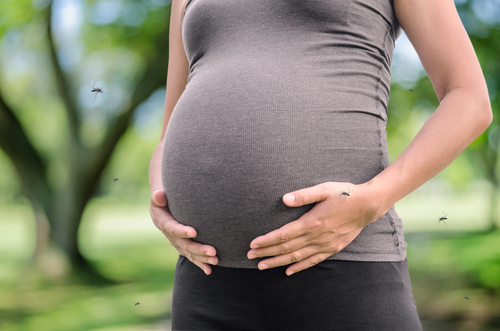 The Zika Virus Disease | Farmington Consulting Group