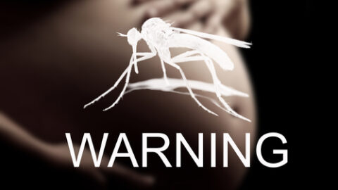 Two US Women Miscarry After Zika Infection, CDC Says | Farmington Consulting Group