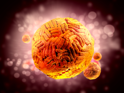 Zika in 30 seconds… What you need to know today | Farmington Consulting Group