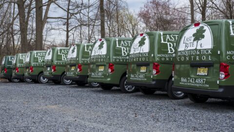 We Are Essential | Farmington Consulting Group