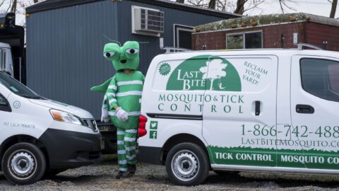 Learn About Mosquito Breeding Grounds To Control The Mosquitoes In Your Yard | Farmington Consulting Group