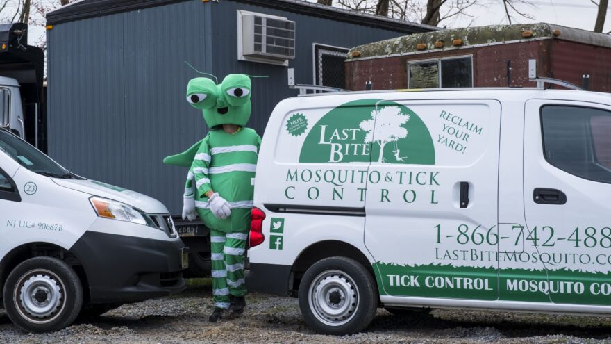 Learn About Mosquito Breeding Grounds To Control The Mosquitoes In Your Yard | Farmington Consulting Group