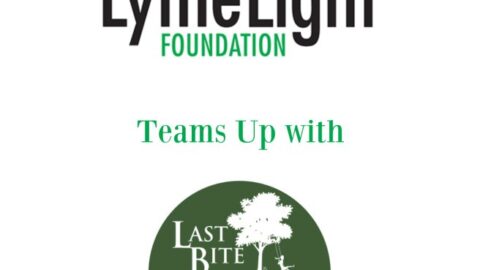 Last Bite’s 4x4x48 Run for Lyme | Farmington Consulting Group