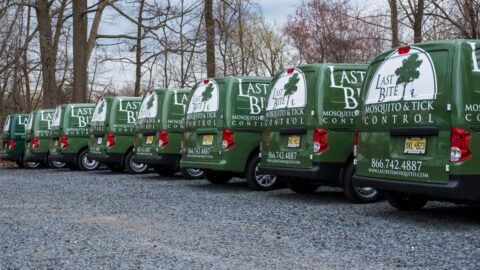 Buy Online Intro | Farmington Consulting Group