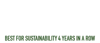 The Spruce