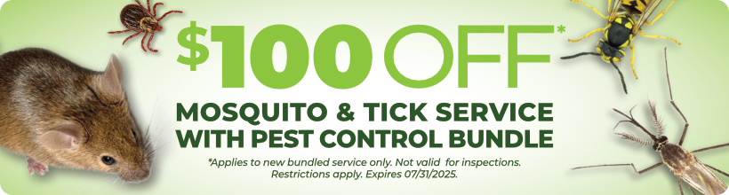 Save $100 on a Last Bite Mosquito & Tick Service Bundle