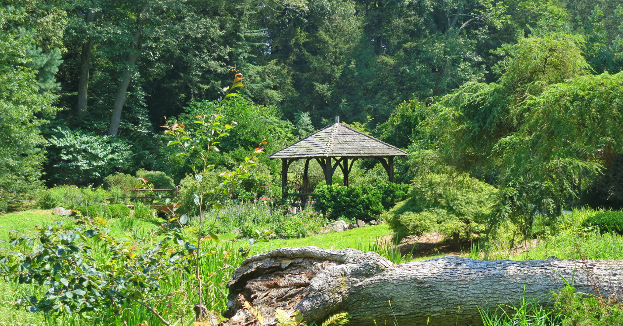 Mosquito & Tick Control in Wayne NJ