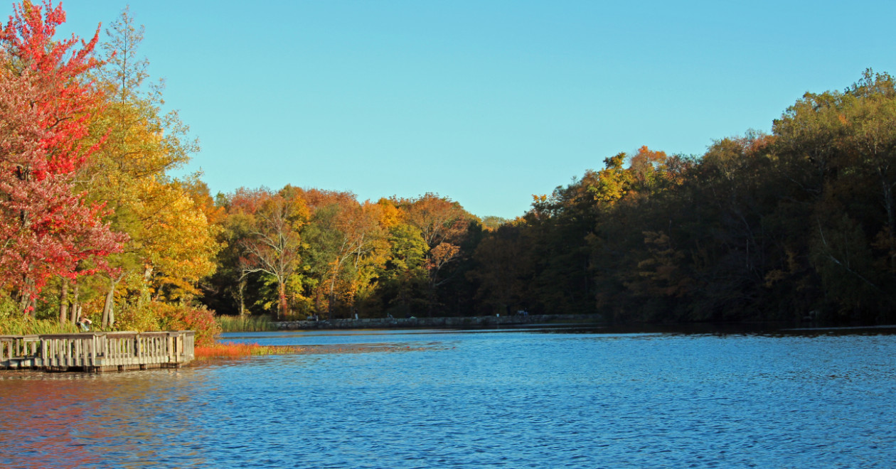 Pest Control in Vernon, NJ