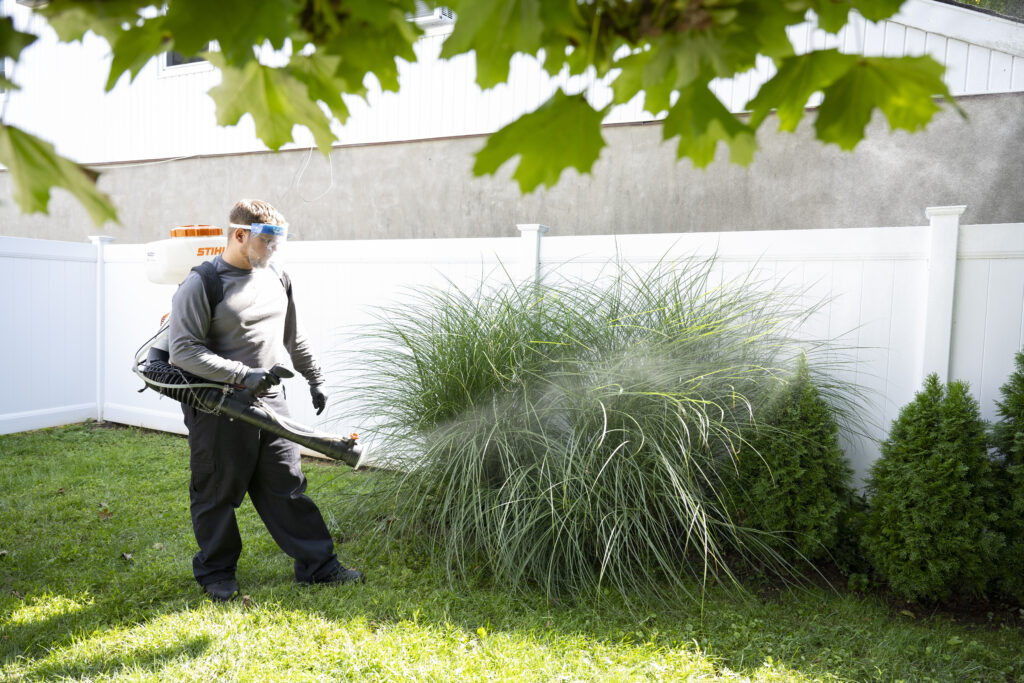 Last Bite and Viking Home Pest Control Bundle