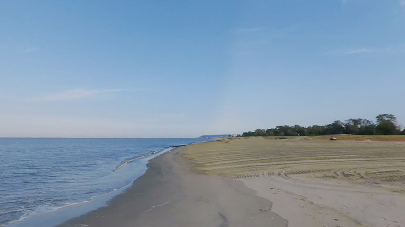 Mosquito and tick control in Middleton, NJ