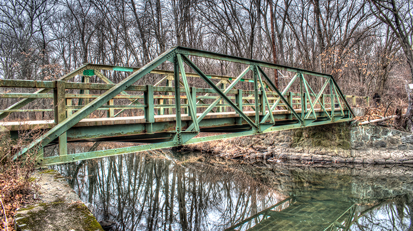 Mosquito and tick control in Bergen County, NJ