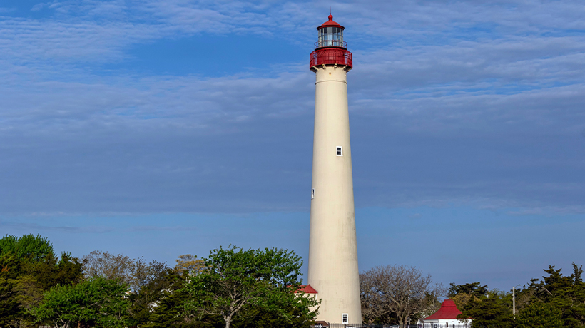 Mosquito and tick control in Cape May county, NJ