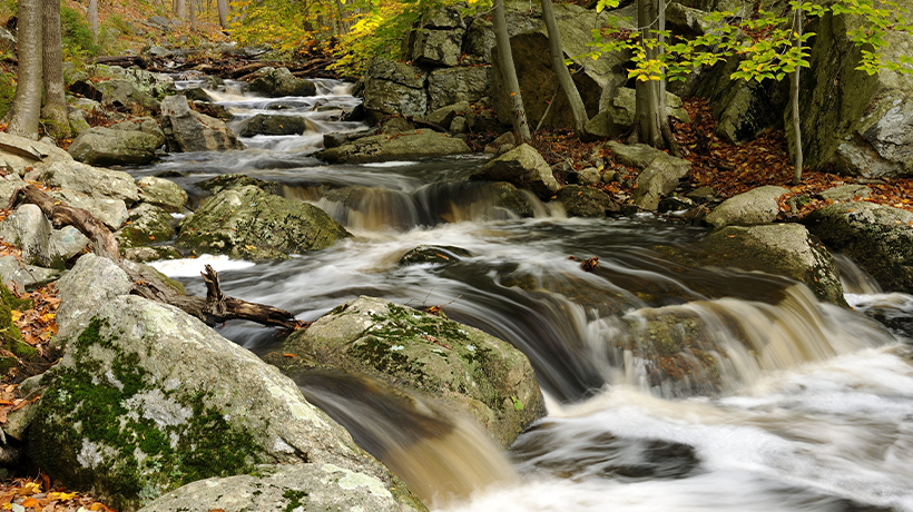 Mosquito and tick control in Hunterdon county, NJ
