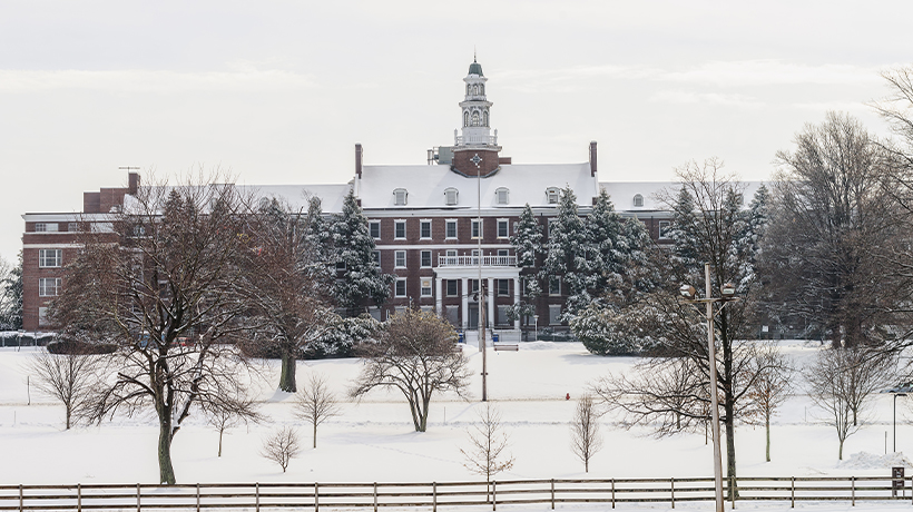 Mosquito and tick control in Middlesex county, NJ