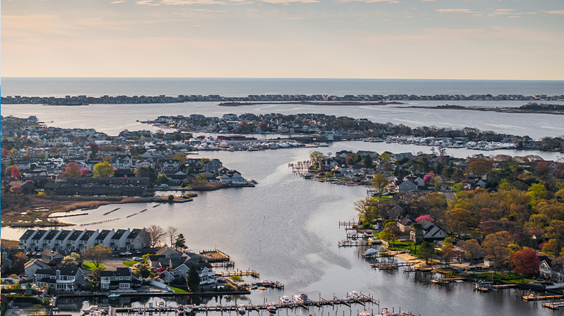 Mosquito and tick control in Ocean County, NJ