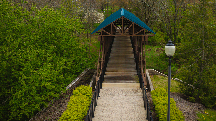 Mosquito and tick control in Somerset County NJ