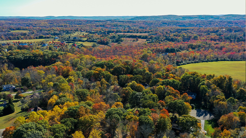 Mosquito and tick control in Warren County, NJ