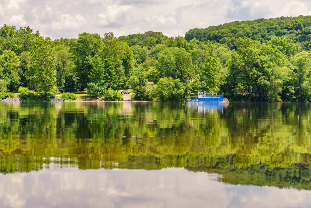 Mosquito and tick control in Hunterdon county, NJ